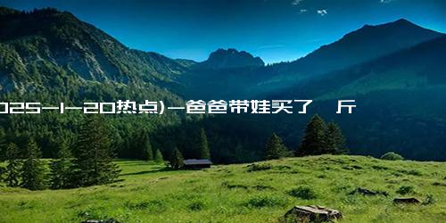 (2025-1-20热点)-爸爸带娃买了一斤豆坐飞机：转移注意力 避免吵闹影响到其他乘客